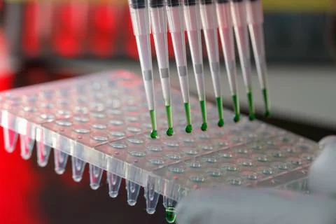 Electrophoresis device in a genetics lab to decrypt the genetic code Foto stock