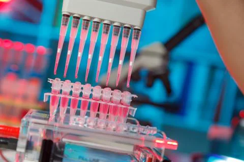 Electrophoresis device in a genetics lab to decrypt the genetic code Stock Photos