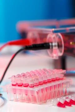 Electrophoresis device in a genetics lab to decrypt the genetic code Stock Photos