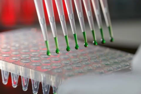 Electrophoresis device in a genetics lab to decrypt the genetic code Foto stock