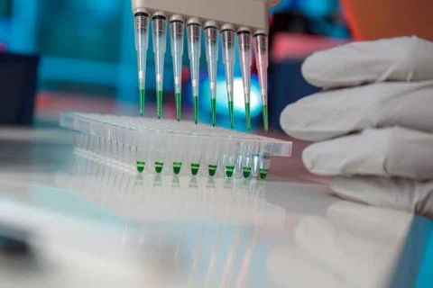 Electrophoresis device in a genetics lab to decrypt the genetic code Stock Photos