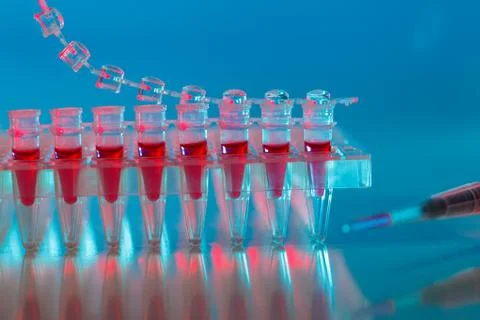 Electrophoresis device in a genetics lab to decrypt the genetic code Foto stock