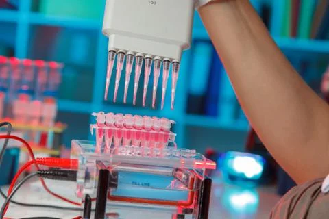 Electrophoresis device in a genetics lab to decrypt the genetic code Foto stock