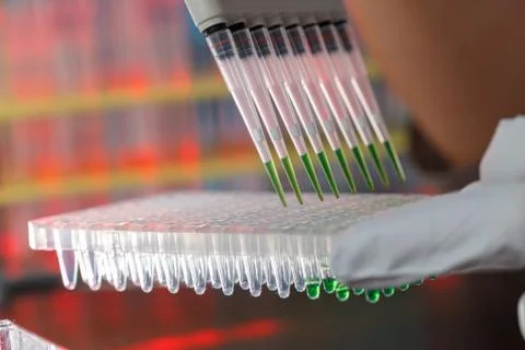 Electrophoresis device in a genetics lab to decrypt the genetic code Foto stock