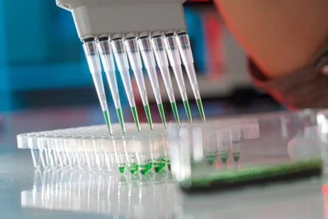 Electrophoresis device in a genetics lab to decrypt the genetic code Foto stock