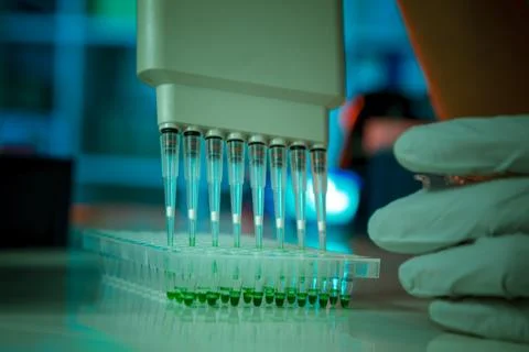 Electrophoresis device in a genetics lab to decrypt the genetic code Foto stock