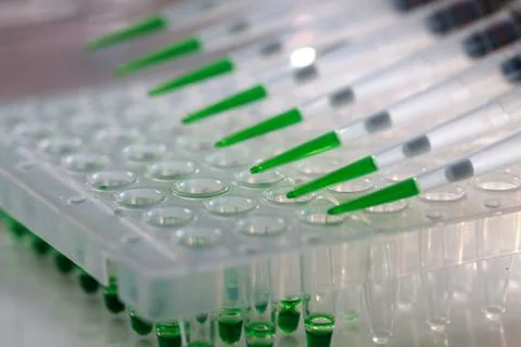 Electrophoresis device in a genetics lab to decrypt the genetic code Stock Photos