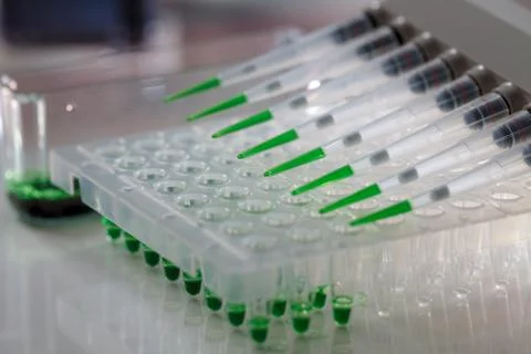 Electrophoresis device in a genetics lab to decrypt the genetic code Foto stock
