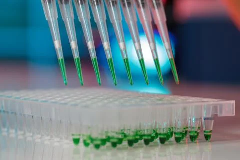 Electrophoresis device in a genetics lab to decrypt the genetic code Stock Photos