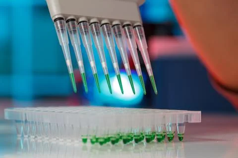 Electrophoresis device in a genetics lab to decrypt the genetic code Foto stock