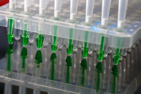 Electrophoresis device in a genetics lab to decrypt the genetic code Foto stock