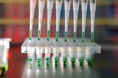 Electrophoresis device in a genetics lab to decrypt the genetic code 库存照片