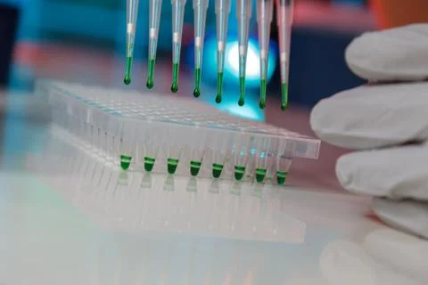 Electrophoresis device in a genetics lab to decrypt the genetic code Foto stock