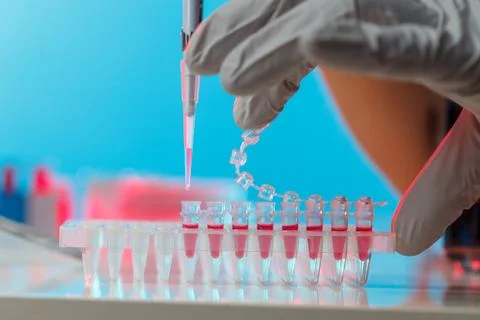 Electrophoresis device in a genetics lab to decrypt the genetic code Foto stock