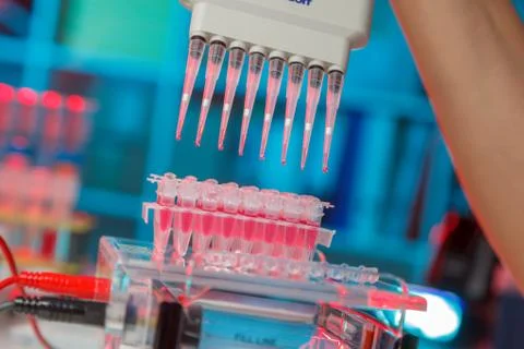Electrophoresis device in a genetics lab to decrypt the genetic code Stock Photos