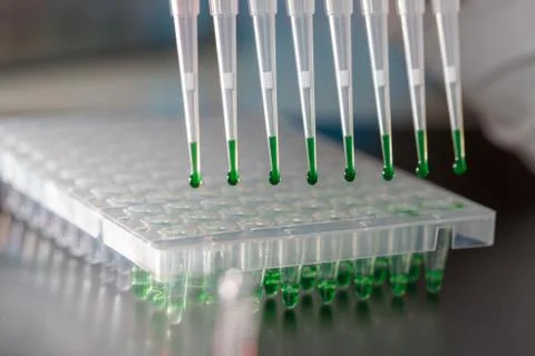 Electrophoresis device in a genetics lab to decrypt the genetic code Stock Photos