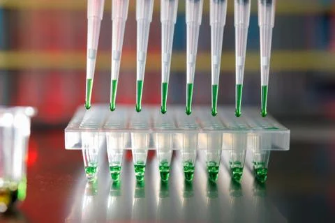 Electrophoresis device in a genetics lab to decrypt the genetic code Stock Photos