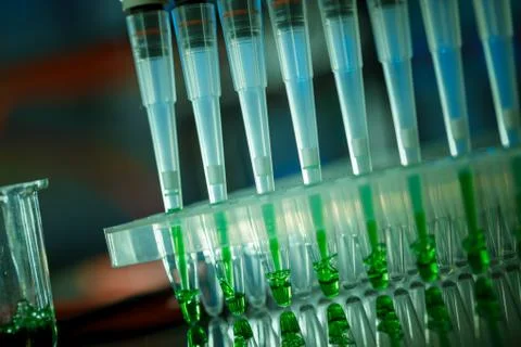 Electrophoresis device in a genetics lab to decrypt the genetic code Stock Photos
