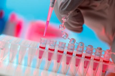 Electrophoresis device in a genetics lab to decrypt the genetic code Stockfoto's