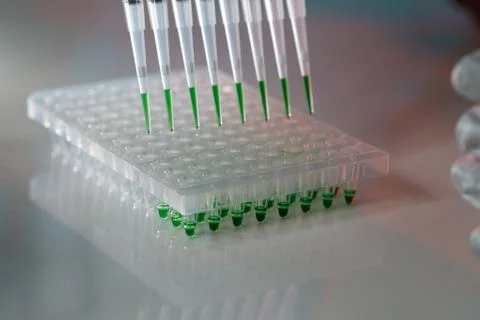 Electrophoresis device in a genetics lab to decrypt the genetic code Foto stock