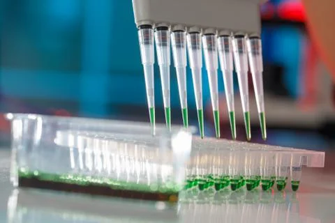 Electrophoresis device in a genetics lab to decrypt the genetic code Stock Photos