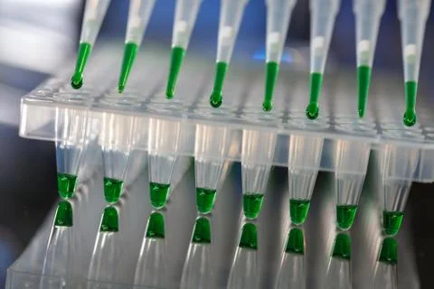 Electrophoresis device in a genetics lab to decrypt the genetic code Foto stock