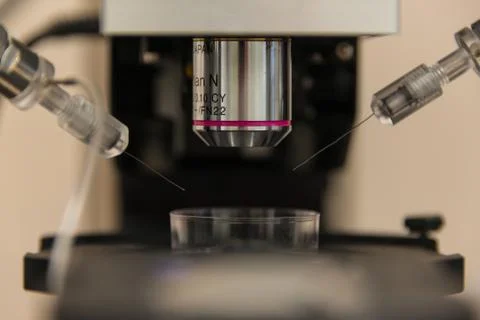 Electrophysiological setup with a microscope to record neurons in brain sampl Stock Photos