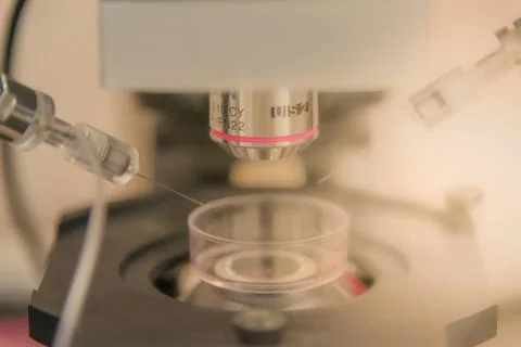 Electrophysiological setup with a microscope to record neurons in brain sampl Stock Photos