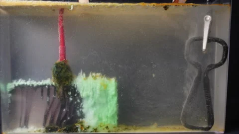 Electroplating seen in time-lapse. Hydrogen bubbles off cathode and sludge Stock Footage 320465804
