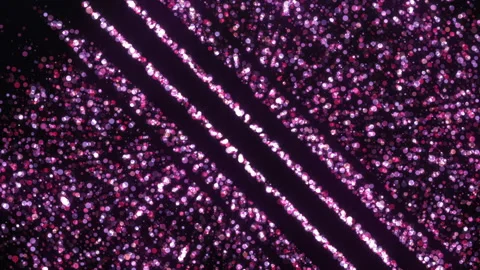 Elegan particles Video stock 87102929