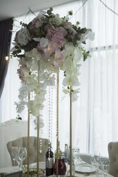 Elegance in Bloom Stock Photos