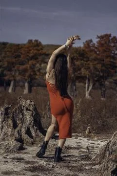 Elegance in Nature Stock Photos