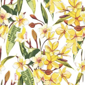 Elegance seamless pattern in vintage style with Plumeria flowers. EPS 10 Stock Illustration