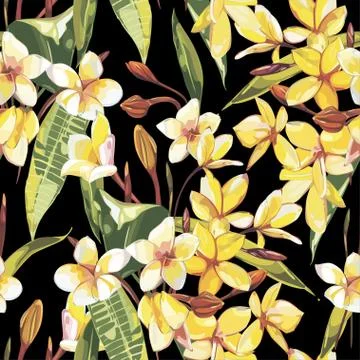 Elegance seamless pattern in vintage style with Plumeria flowers. EPS 10 Stock Illustration
