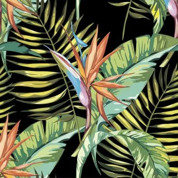 Elegance seamless pattern in vintage style with Strelitzia flowers. EPS 10 Stock Illustration