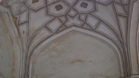 The elegant and beautiful geometric patterns and floral motifs, New Delhi Stock Footage 255115398