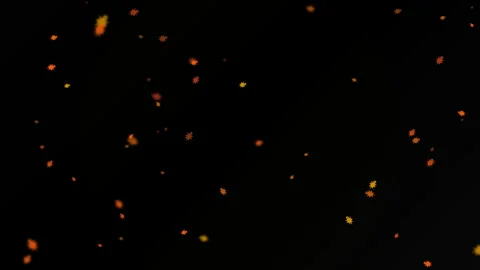 Elegant animated falling maple on darkbackground Stock Footage 334902537