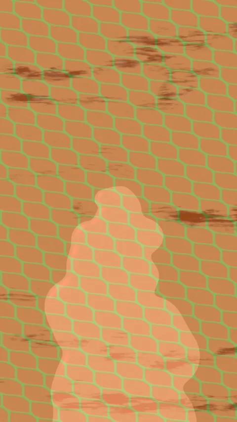 Elegant Animated Pattern Design Project Stock-Footage 328665995