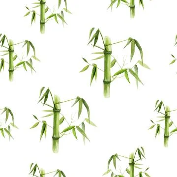 An Elegant Bamboo Watercolor Pattern Set on a White Background That Radiates Stock Illustration
