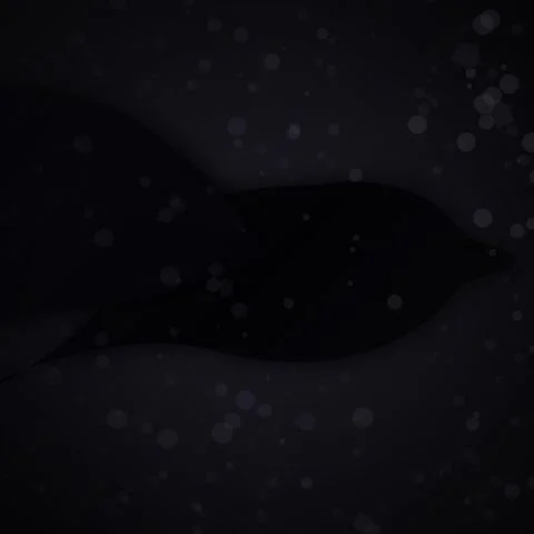 Elegant black abstract background seamless dark modern gradient texture bac.. Stock Footage 345690786