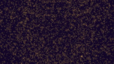Elegant black and gold pattern for stylish graphic design Stock Footage 251959814