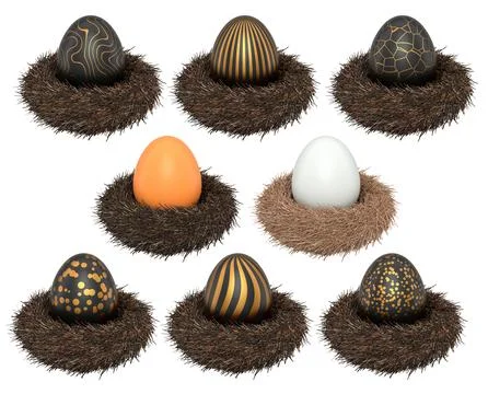 Elegant black eggs with gold patterns in bird nests, isolated on white Stockillustratie