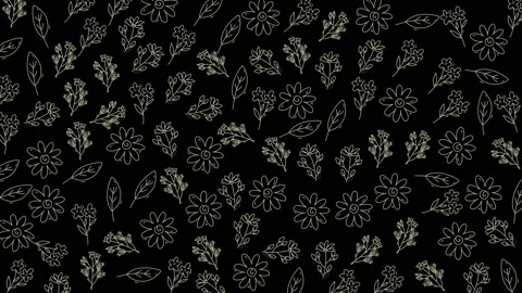 Elegant black floral pattern with delicate white outline flowers and leaves.. Stock Footage 321641046