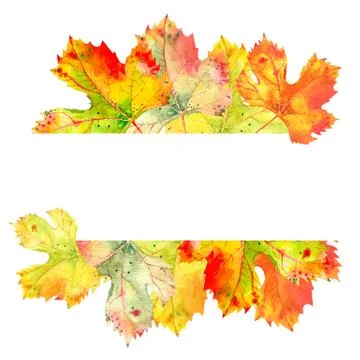 Elegant border frame of fall grape vine leaves. Autumn foliage isolated on white Stock Illustration