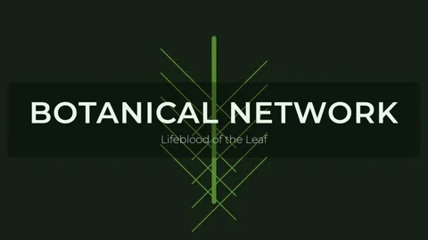 Elegant botanical network pattern design on dark background Stock Footage 337655647