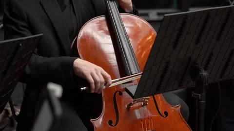 An Elegant Cellist Performance within a Beautiful Orchestra Setting Captivates Stock Footage 314577133