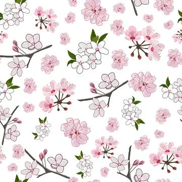 Elegant Cherry blossom seamless pattern on white Stock Illustration