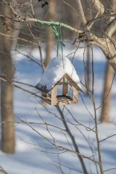 Elegant composition featuring snow crowned birdhouse with natural elements... 写真素材