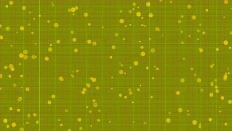 Elegant crimson abstract backdrop with delicate repeating dot pattern texture Stock Footage 337703044
