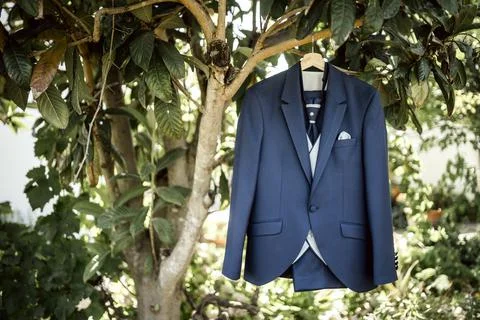 Elegant dark blue suit hanging on a tree Stock Photos